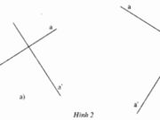 Bài 8, 9, 10, 11 trang 102 SBT Toán 7 tập 1: Hãy vẽ đường thẳng d’ đi qua O vuông góc với d.