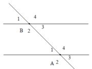 Bài 16, 17, 18, 19, 20 trang 103, 104, 105 Sách BT Toán 7 tập 1: Vì sao cặp góc so le trong còn lại cũng bằng nhau?