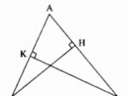 Bài 5, 6, 7, 8 trang 137, 138 SBT Toán 7 tập 1: Một góc nhọn của Êke bằng 30°, tính góc nhọn còn lại