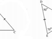 Bài 19, 20, 21, 22 trang 139, 140 SBT Toán lớp 7 tập 1: Cho ∆ABC = ∆DEF. Viết các cặp cạnh bằng nhau, các cặp góc bằng nhau