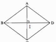 Bài 86, 87, 88 trang 149, 150 SBT Toán lớp 7 tập 1: Tính các độ dài AB, BC, CD, DA biết AC = 12cm, BD = 16cm?