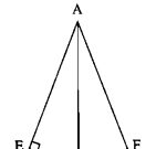 Bài 49, 50, 51, 52, 53 trang 46 SBT Toán 7 tập 2: Tính các dộ dài AD, AE biết rằng AB = 6cm, AC = 8cm