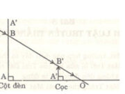 Bài 3.1, 3.2, 3.3, 3.4, 3.5, 3.6 trang 9, 10 SBT Lý 7: Đứng trên mặt đất, trường hợp nào dưới đây ta thấy có nguyệt thực