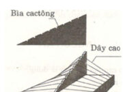 Bài 10.1, 10.2, 10.3, 10.4, 10.5, 10.6 trang 23, 24 SBT Lý 7: Vật phát ra âm trong các trường hợp nào dưới đây