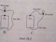 Bài 19.8, 19.9, 19.10, 19.11, 19.12, 19.13 trang 42, 43 SBT Lý 7: Dụng cụ nào dưới đây không phải là nguồn điện?