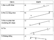 Bài 5.1, 5.2, 5.3 trang 128, 129 SBT Toán lớp 6 tập 1: Vẽ hình chứng minh hai tia chung gốc luôn là hai tia đối nhau là sai?