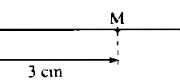 Bài 52, 53, 54, 55 trang 135 SBT Toán 6 tập 1: Vẽ đoạn thẳng CD = 3,5cm ?