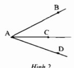 Bài 6, 7, 8, 9, 10 trang 82, 83 Sách BT Toán Lớp 6 tập 2: : Hãy vẽ: Tia OM nằm trong góc xOy?