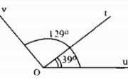 Bài 20, 21, 22, 23 trang 87 Sách BT Toán Lớp 6 tập 2: Hãy đo các góc DHE, DGE, DFE ?