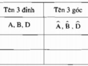 Bài 40, 9.1, 9.2, 9.3 trang 95, 96, 97 Sách BT Toán Lớp 6 tập 2: Vẽ tam giác ABC, có AB = 6cm, BC = 6cm, CA = 6cm?