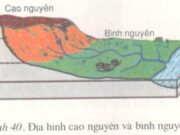 Bài 14. Địa hình bề mặt Trái Đất (tiếp theo) – Địa lí 6: Bình nguyên có mấy loại?