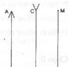 Bài 1-2.22, 1-2.23, 1-2.24, 1-2.25, 1-2.26 trang 8, 9 SBT Lý 6: Hãy nêu cách xác định chu vi của đồng tiền