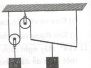 Bài 13.5, 13.6, 13.7, 13.8 trang 42, 43 SBT Lý 6: Đường đèo qua núi là ví dụ về máy cơ đơn giản nào?