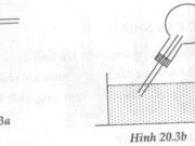 Bài 20.1, 20.2, 20.3, 20.4 trang 63 SBT Lý 6: Hãy tiên đoán hiện tượng xảy ra khi dùng tay áp chặt vào bình cầu trong TN …