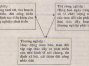 Bài 12 phần 1: Đời sống kinh tế, văn hóa – Lịch sử 7: Vì sao nền nông nghiệp thời Lý phát triển ?