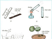 Bài 49-50: Ôn tập: Vật chất và năng lượng – Khoa học 5: Thép được sử dụng để làm gì