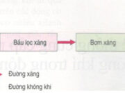 Bài 27.Hệ thống cung cấp nhiên liệu và không khí trong động cơ xăng – Công nghệ 11.