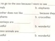 Lesson 3 Unit 19 trang 62 SGK Tiếng Anh lớp 4 Mới tập 2: Listen and circle. Then say the sentences aloud.