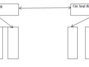 Bài 24. Vấn đề phát triển ngành thủy sản và lâm nghiệp SBT Địa lớp 12: Rút ra nhận xét về sự phát triển của ngành lâm nghiệp ?