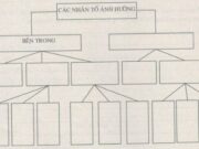 Bài 28. Vấn đề tổ chức lãnh thổ công nghiệp SBT Địa lớp 12: Kể tên 5 trung tâm công nghiệp lớn của cả nước và cơ cấu ngành của mỗi trung tâm ?