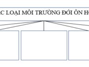 Bài 13 trang 31,32,33 SBT Địa lớp 7: Những yếu tố gây biến động thời tiết ở đới ôn hòa là?