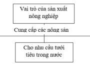 Bài 14 SBT Địa lớp 7 trang 33,34: Nền nông nghiệp hiện đại là nền nông nghiệp?