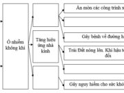 Bài 17 SBT Địa 7 trang 40,41: Nêu các biện pháp khắc phục tình trạng ô nhiễm không khí ở đới ôn hòa