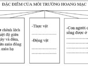 Bài 19 SBT Địa lớp 7: Nêu nhận xét về nhiệt độ, lượng mưa ở hoang mạc Xa-ha-ra