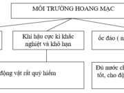 Bài 20 SBT Địa lớp 7 trang 48,49 : Mô tả sơ lược quang cảnh môi trường hoang mạc