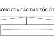 Bài 22 SBT Địa lớp 7 trang 51,52,53:  Hãy nêu tên các dân tộc và địa bàn cư trú của các dân tộc sông ở đới lạnh phương Bắc ?