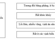 Bài 26. Thiên nhiên châu Phi SBT Địa lớp 7: Nối ô chữ bên trái với những ô chữ thích hợp ở bên phải