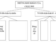 Bài 29. Dân cư xã hội châu Phi SBT Địa lớp 7: Dân cư châu Phi phân bố như thế nào?