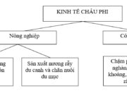 Bài 30. Kinh tế châu Phi SBT Địa lớp 7: Nhận xét khái quát về kinh tế châu Phi?