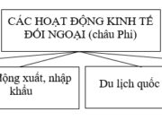 Bài 31. Kinh tế châu Phi (tiếp theo) SBT Địa lớp 7: Hoàn thành các sơ đồ : xuất khẩu, nhập khẩu của các nước châu Phi.