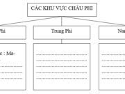 Bài 32. Các khu vực châu Phi SBT Địa lớp 7: Lập một sơ đồ về khu vực Trung Phi