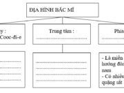 Bài 36. Thiên nhiên Bắc Mĩ SBT Địa lớp 7: Nêu tên và sự phân bố các kiểu rừng ở Bắc Mĩ