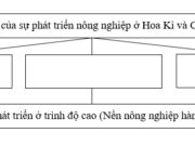 Bài 38. Kinh tế Bắc Mĩ SBT Địa lớp 7: Nhận xét về sự phân bố sản xuất nông nghiệp ở Bắc Mĩ.