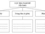 Bài 41 SBT Địa lớp 7 trang 93,94: Nêu diện tích, giới hạn lãnh thổ của khu vực Trung và Nam Mĩ