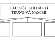 Bài 42 SBT Địa lớp 7 trang 96: Nêu thuận lợi của khí hậu Trung và Nam Mĩ đối với sản xuất nông nghiệp