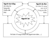 Bài 43 SBT Địa lớp 7 trang 96,97: Nhận xét về sự phân bố dân cư ở châu Mĩ