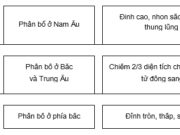 Bài 51Thiên nhiên châu Âu SBT Địa lớp 7 trang 111, 112: Kể tên các bán đảo của châu Âu