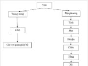 Bài 25. Tình hình chính trị, kinh tế, văn hóa dưới triều Nguyễn (nửa đầu thế kỉ XIX) SBT Sử lớp 10: Nhà Nguyễn được thành lập vào năm nào?