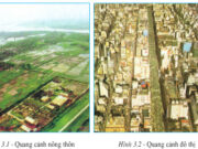 Bài 3. Quần cư. Đô thị hóa – Địa lí 7: Nêu những sự khác nhau cơ bản giữa quần cư đô thị và quần cư nông thôn