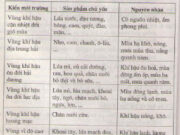 Bài 14. Hoạt động nông nghiệp ở đới ôn hòa – Địa lí 7: Trình bày sự phân bố các loại cây trồng và vật nuôi chủ yếu ở đới ôn hoà.