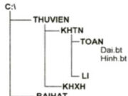 Bài 11. Tổ chức thông tin trong máy tính – Tin học 6: Một thư mục có thể chứa bao nhiêu tệp tin