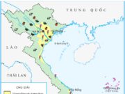 Bài 9. Các dân tộc, sự phân bố dân cư – Địa lí 5 : Em hãy kể tên một số vật nuôi ở nước ta.