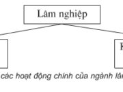 Bài 10. Nông nghiệp – Địa lí 5: Em hãy kể tên các loại thuỷ sản đang được nuôi nhiều ở nước ta.