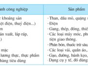 Bài 11. Lâm nghiệp và thủy sản – Địa lí 5: Hãy kể một số sản phẩm công nghiệp xuất khẩu mà em biết.