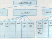 Bài 26. Cơ cấu nền kinh tế – Địa lí 10 : Phân biệt các loại nguồn lực và ý nghĩa của từng loại đối với sự phát triển kinh tế?