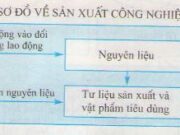 Bài 31. Vai trò, đặc điểm của công nghiệp. Các nhân tố ảnh hưởng tới phát triển và phân bố công nghiệp – Địa lớp 10.